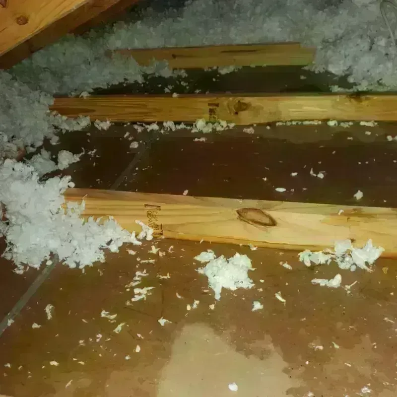 Attic Water Damage in West Bloomfield Township, MI